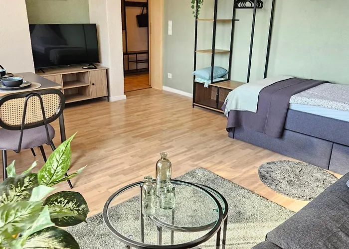 Business App In Zentraler Lage Mit 3 Schlafzimmern Für Geschäftsreisende Pendler Und Familien, Monteure Nähe Sz Apartment